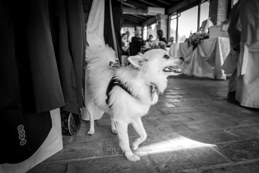 foto-matrimonio-la-gaiana-bologna-075