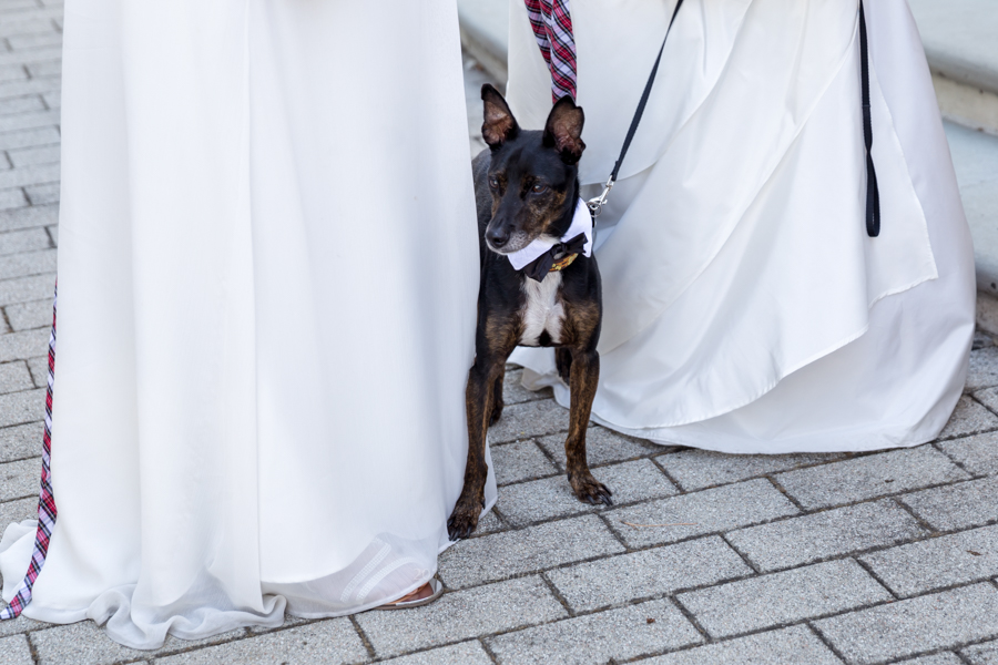 foto-matrimonio-sala-rossa-bologna-00062